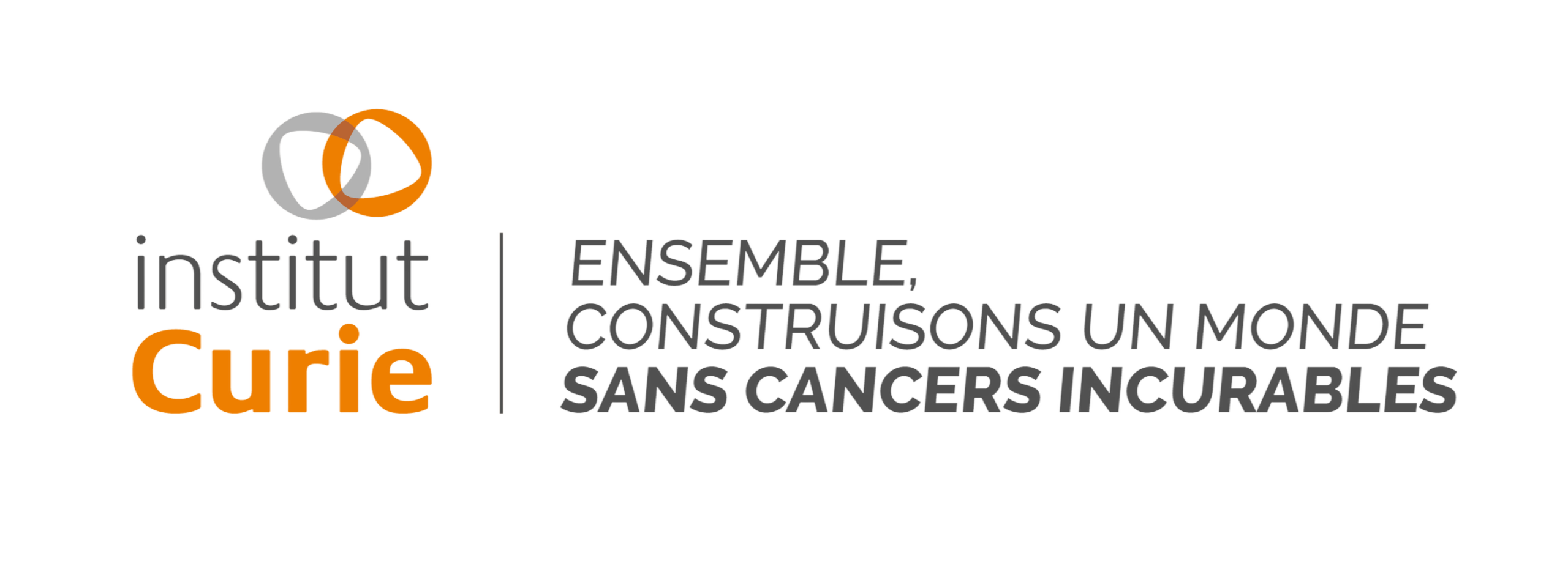Logo Curie & BSLNHD transparant